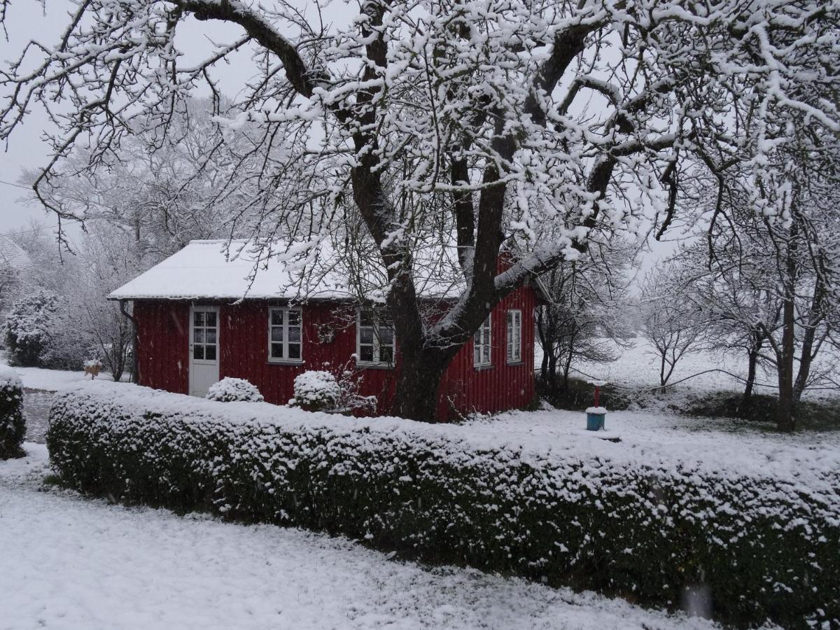 Hansenhof Kappeln Eksteriør bilde